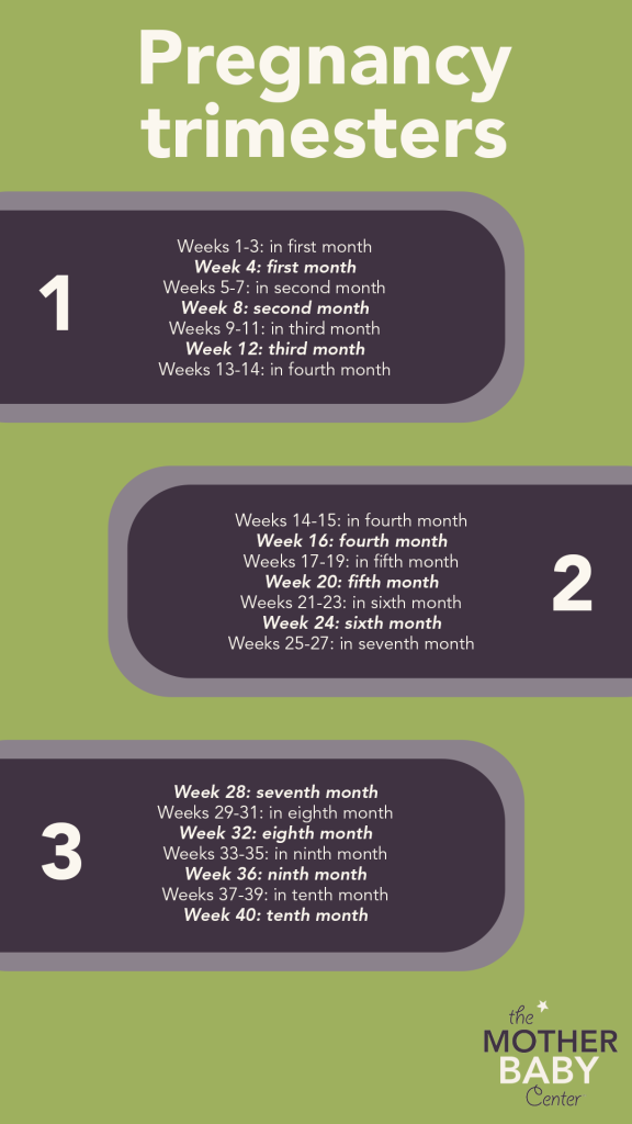 Trimester timeline: calculating pregnancy weeks to months - The