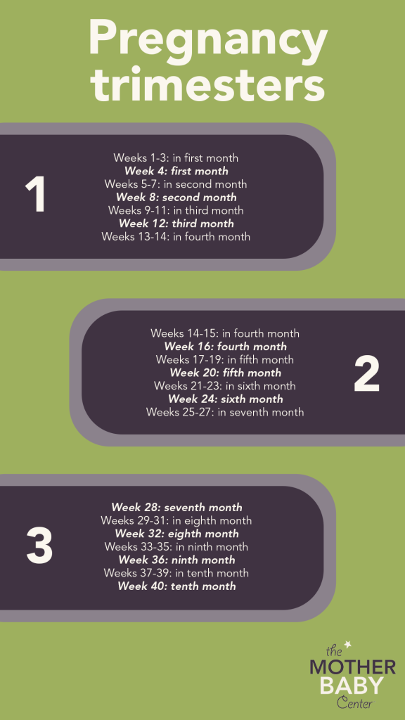 Trimester timeline: calculating pregnancy weeks to months - The Mother Baby  Center